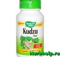 Кудзу