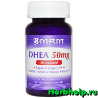 Дегидроэпиандростерон (DHEA)