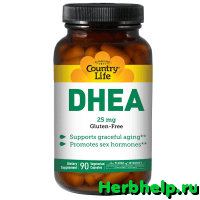 Дегидроэпиандростерон (DHEA)