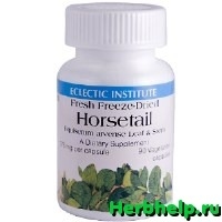 Horsetail_5
