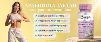 Арабиногалактан (экстракт лиственницы) — полезные свойства пребиотика: укрепление иммунитета, поддержка пищеварения и рост полезной микрофлоры