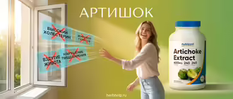 Экстракт артишока свойства польза вред инструкция применение для печени холестерина пищеварения гепатоза отзывы