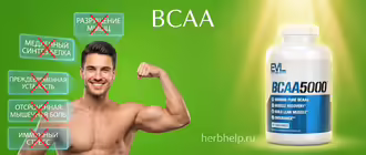 аминокислоты bcaa 2 1 1 инструкция как принимать спортивное питание порошок в капсулах мужчина указывает на проблемы рядом с банкой добавки