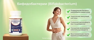 Бифидобактерии (Bifidobacterium) для кишечника: поддержание микробиоты, укрепление иммунитета и восстановление после антибиотиков