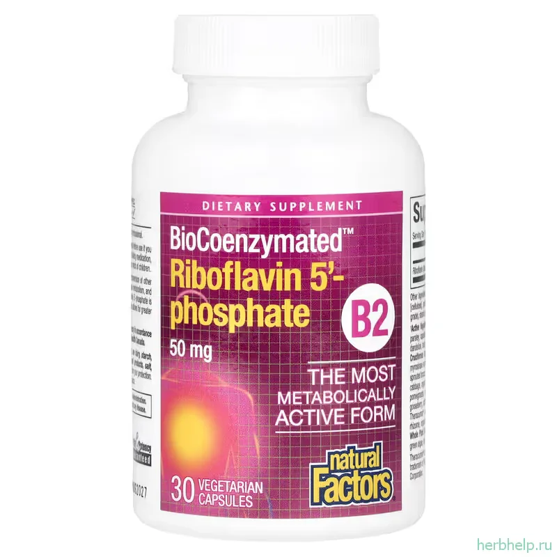 BioCoenzymated B2 (рибофлавин 5'-фосфат) Natural Factors, 50 мг, 30 вегетарианских капсул