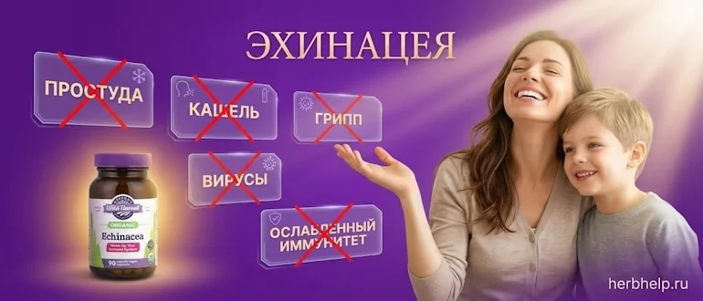 Эхинацея пурпурная инструкция по применению для иммунитета, улыбающаяся мама с сыном на фиолетовом фоне рядом с банкой добавки и перечеркнутыми плашками простуды, гриппа и вирусов
