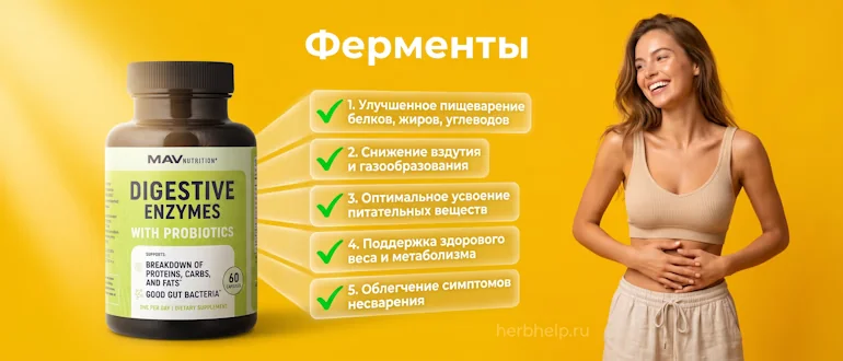 Пищеварительные ферменты для улучшения работы желудочно-кишечного тракта и усвоения питательных веществ