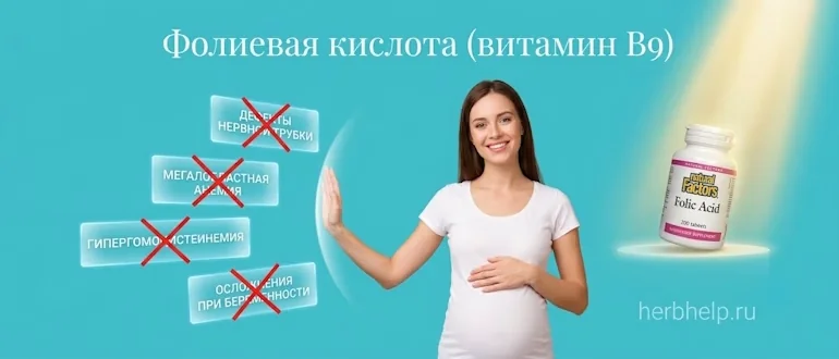 Фолиевая кислота для чего нужна, улыбающаяся беременная женщина в светлой одежде держит руки на животе на размытом зеленом фоне с листьями