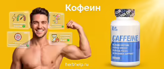 Суточная норма и свойства кофеина, на желтом фоне изображен мужчина с развитой мускулатурой, инфографика и банка добавки от бренда EVL