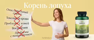 Корень лопуха: для чего применяется экстракт, польза для организма, борьба с токсинами и воспалениями