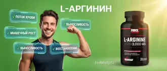 Спортивный мужчина демонстрирует главные эффекты от приема L-аргинина, такие как рост мышц, выносливость и улучшение кровотока