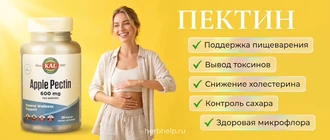 Пектин на инфографике с упаковкой яблочной добавки, улыбающейся девушкой и перечислением главных свойств для поддержки пищеварения, вывода токсинов, снижения холестерина, контроля сахара и сохранения здоровой микрофлоры