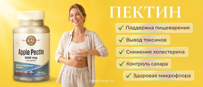 Пектин на инфографике с упаковкой яблочной добавки, улыбающейся девушкой и перечислением главных свойств для поддержки пищеварения, вывода токсинов, снижения холестерина, контроля сахара и сохранения здоровой микрофлоры