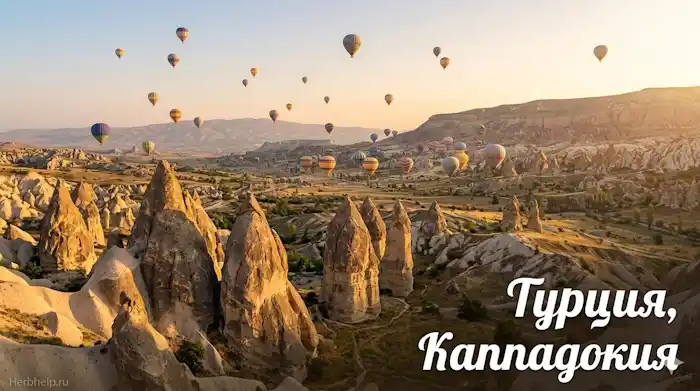 промокод на первое бронирование