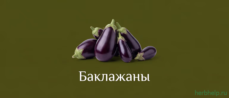 баклажаны