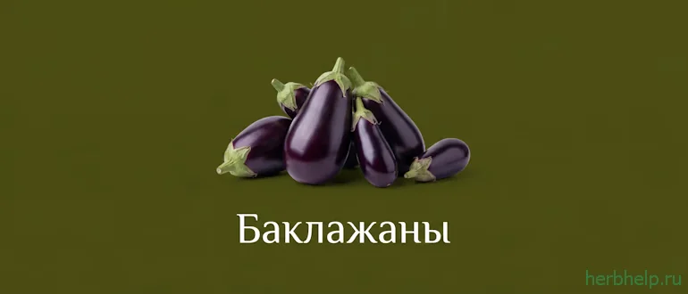баклажаны