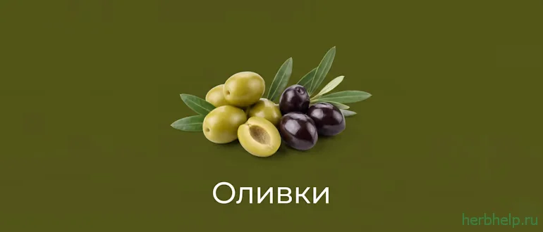 оливки
