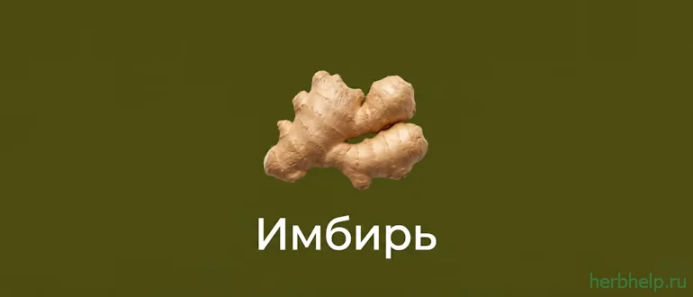 имбирь