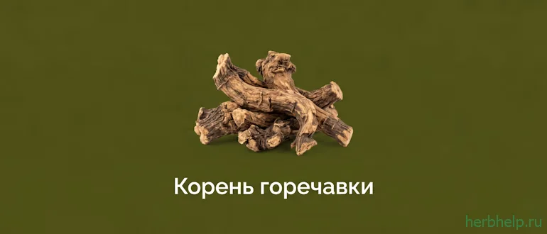корень горечавки