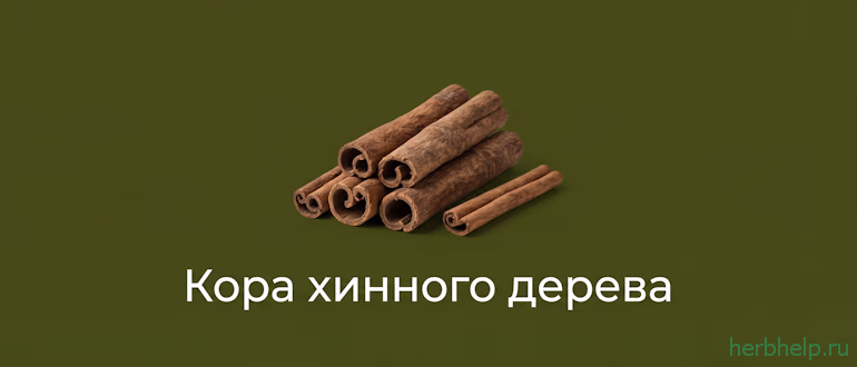 кора хинного дерева