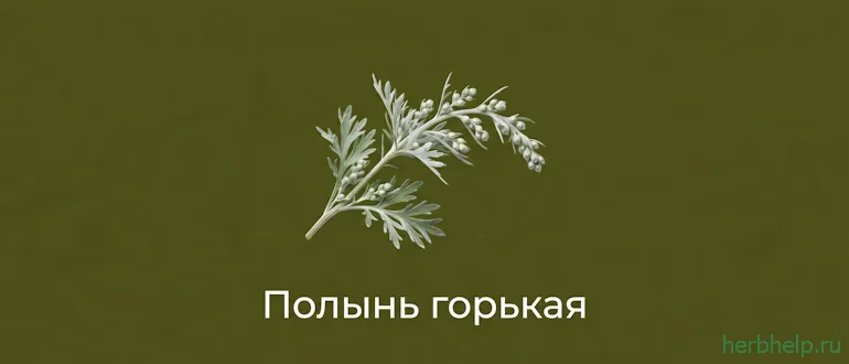 полынь горькая