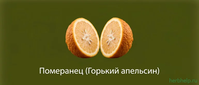 померанец / горький апельсин
