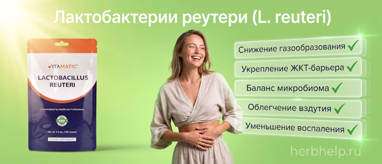 Лактобактерии реутери, представленные на зеленом фоне с улыбающейся девушкой и упаковкой пробиотика Vitamatic, рядом с перечнем полезных свойств для работы желудочно-кишечного тракта
